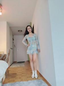 Lilie in Aachen - Foto 4